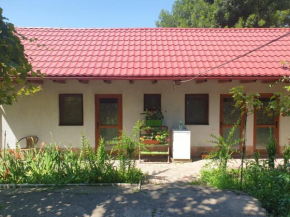 Casa Jolly